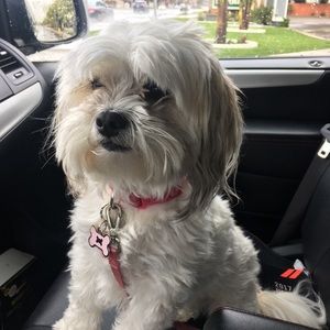 Meet your Posher, Ariana